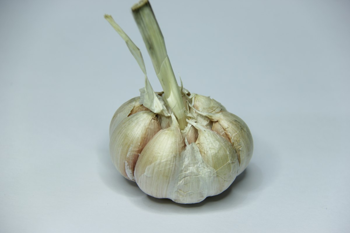 Ölextrakt aus Heilkräutern
